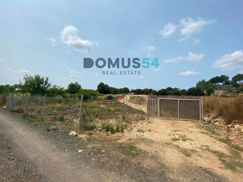 Rustic land not buildable in Maria de la Salut — photo 11