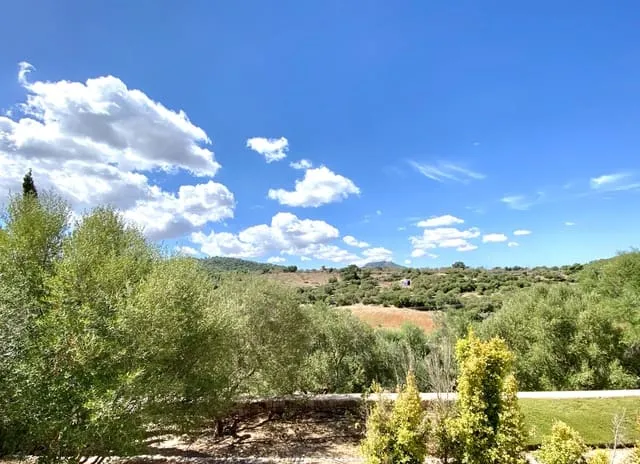 Finca/Country House for rent in Manacor, Mallorca — photo 3