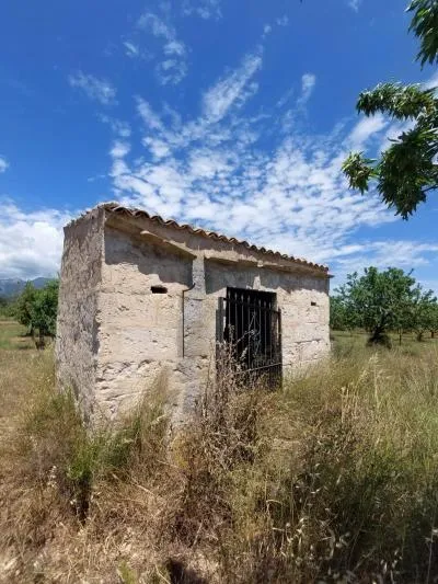 Rustic Land - Inca (Peri-urban Zone) — photo 12