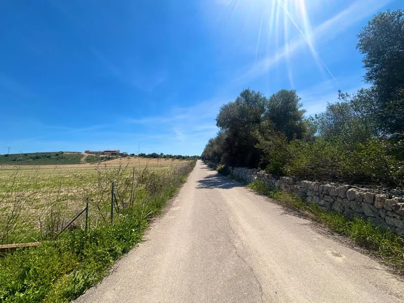Exclusive Real Estate Opportunity in Petra Dream Plot with Endless Possibilities — photo 6