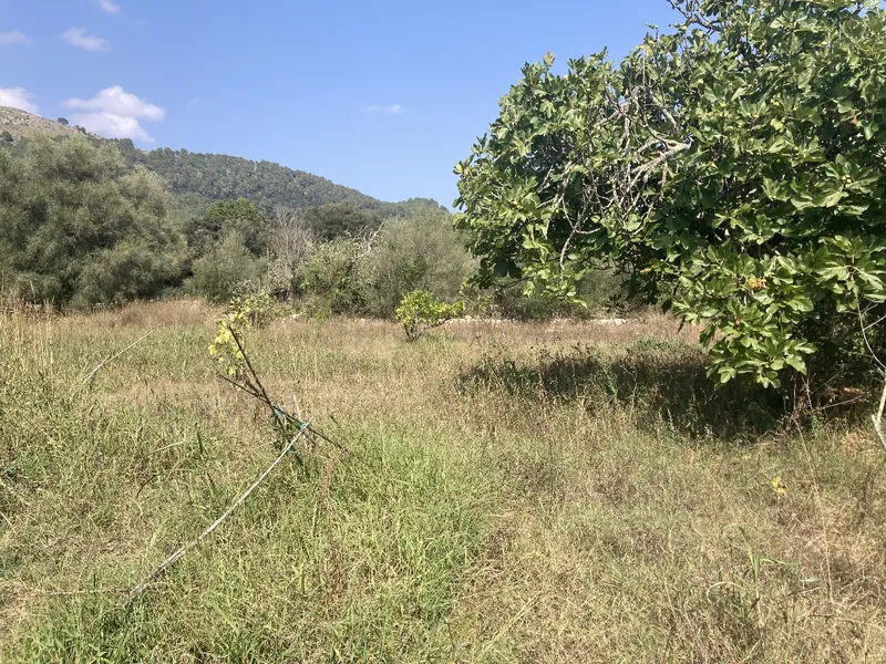 Rustic Finca for sale in Vall de Son March, Pollença, Mallorca, Baleares, Mallorca — photo 2