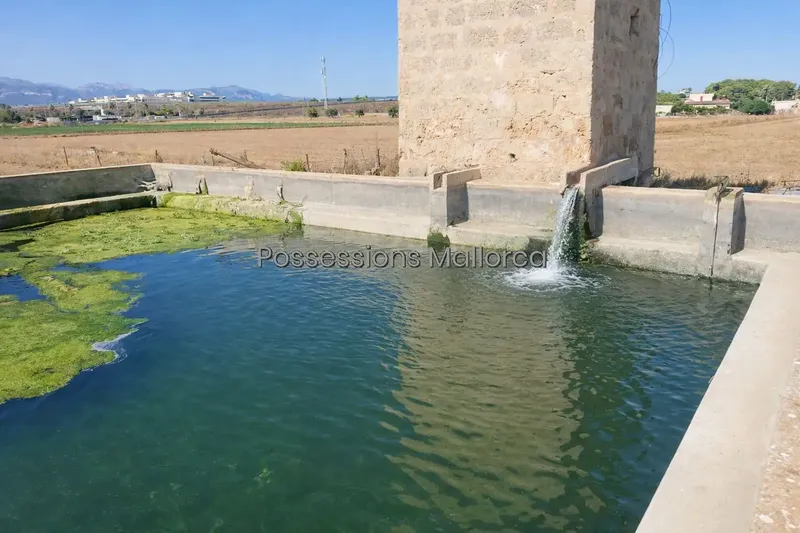 In the heart of one of the most coveted areas of Palma's coastline, between El Molinar and Coll d'en Rabassa, this large historic estate emerges — photo 10