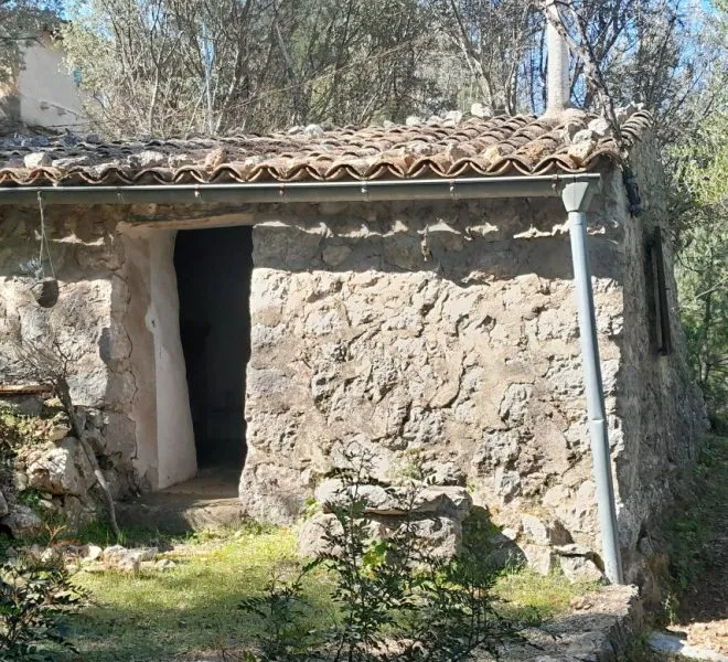 Beautiful olive grove situated in the Es Marroig area of Fornalutx — photo 1