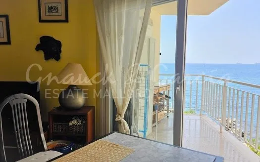 apartment in San Agustin, Palma — photo 1