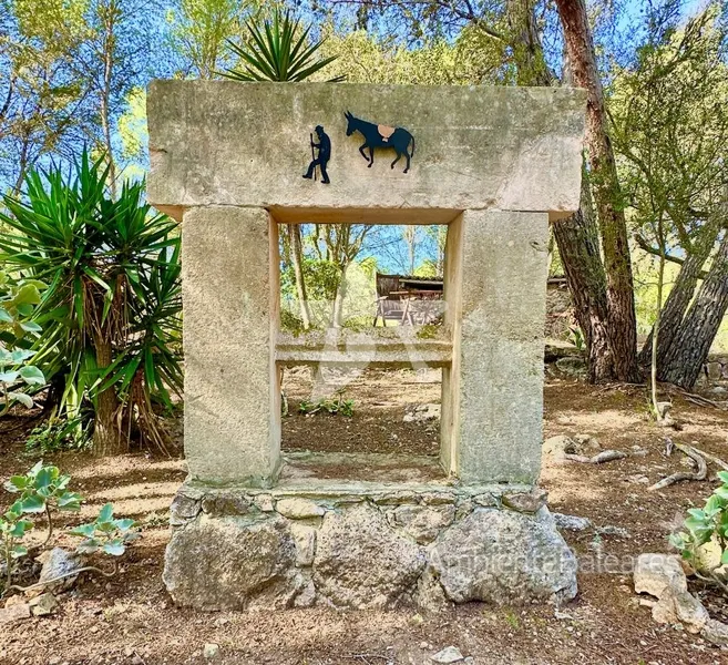 Authentic finca property with Mediterranean flair — photo 5