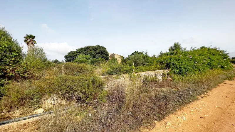 Finca to be rebuilt for sale in Felanitx Pueblo — photo 7