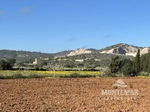 Building plot with license in Porreres — photo 1