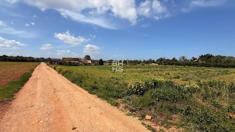 Country plot for sale in Llubí — photo 4
