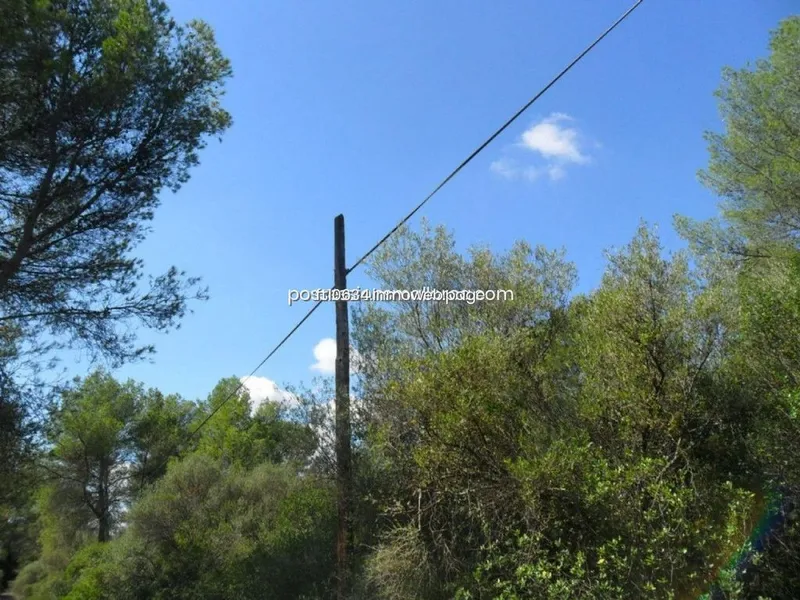Land in Sencelles, Province of Balearic Islands — photo 9