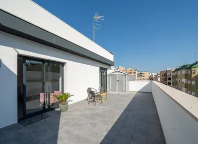 New construction penthouse with large private terrace — photo 2