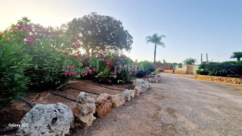 Plot for sale – Ses Salines (Mallorca) — photo 9