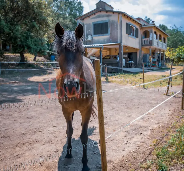 With Habitability Certificate | Attention nature lovers, this is a beautiful country house of 301 m² built — photo 2