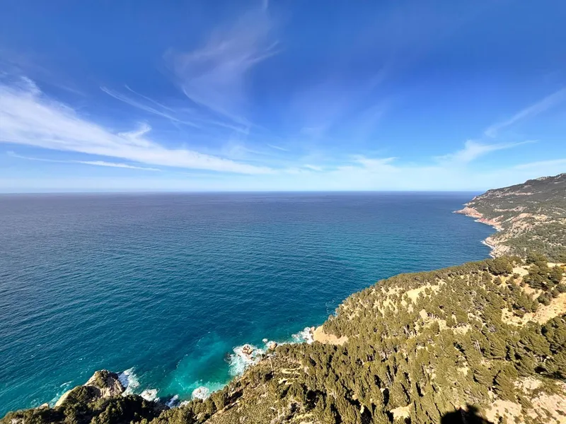 Rustic Plot in Son Fortuny – Estellencs, in the Heart of the Serra de Tramuntana — photo 11