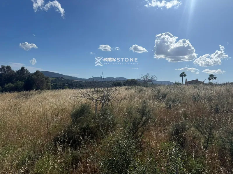 Plot — photo 6