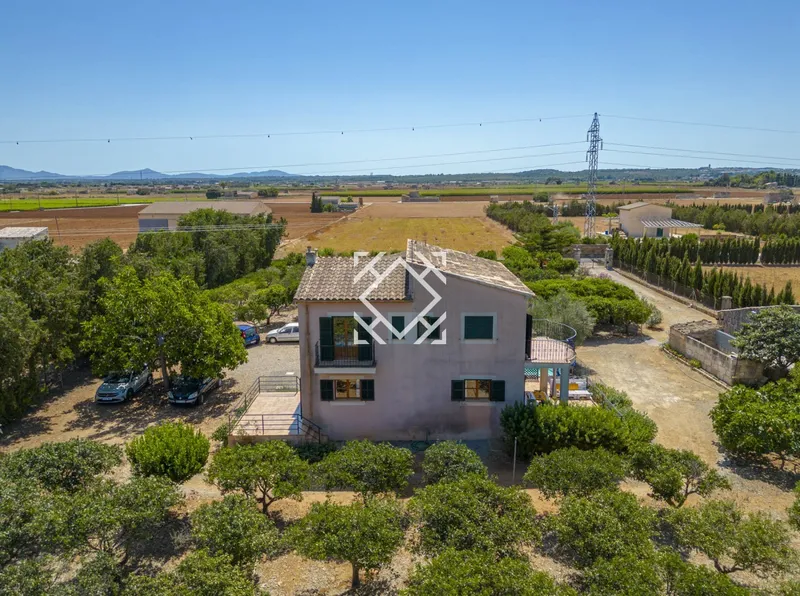 Spacious countryside villa with mountain views for sale in Sa Pobla, Mallorca — photo 2