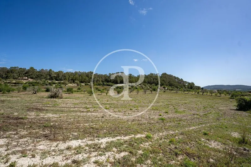 Land in Montuïri, Province of Balearic Islands — photo 6