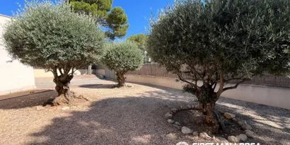 Real estate picture 0 Ref. No. 83972 — photo 10
