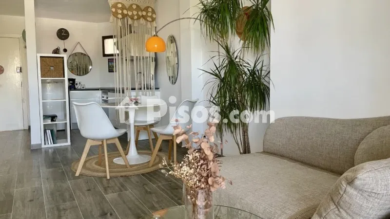 Apartamento en Palmanova-Son Caliu — photo 2