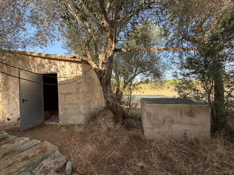 Inmoclaus presents this rustic finca located on the outskirts of Inca with quick access to the highway connecting Palma and Alcúdia. — photo 10