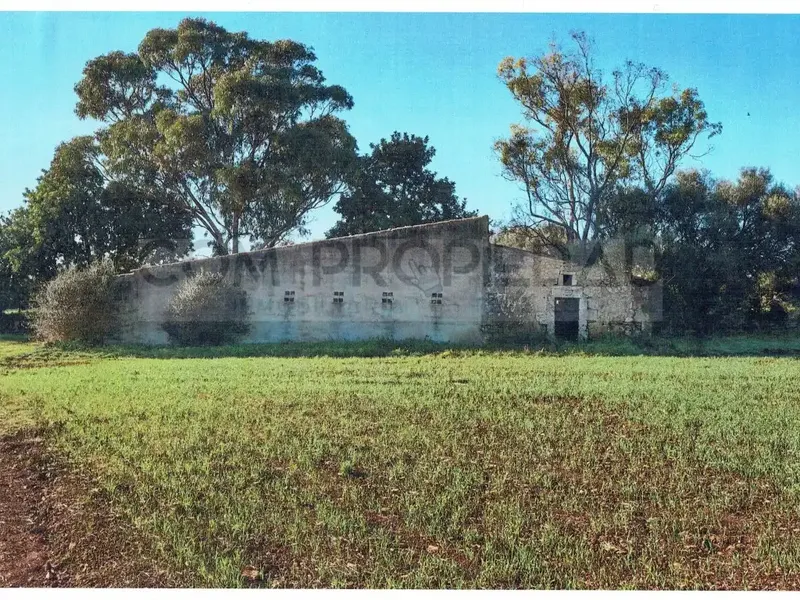 Rustic estate of 217,089 m² of own land, located between Felanitx and Porreres. It has a project for a rural hotel or agrotourism that — photo 2