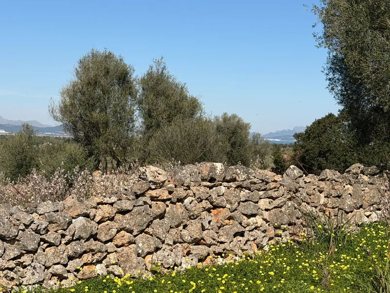 Rural land in Santa Margalida, plot surface 25574.5 m² — photo 3