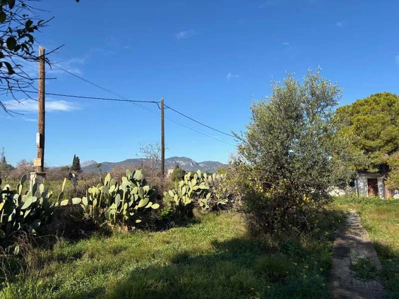 Urban Plot in Son Sardina with Open Views and a Prime Location — photo 4