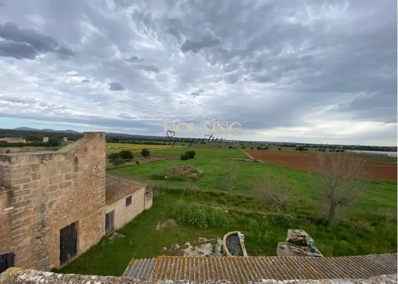 Large rustic estate in the Sa Casa Blanca area. — photo 3