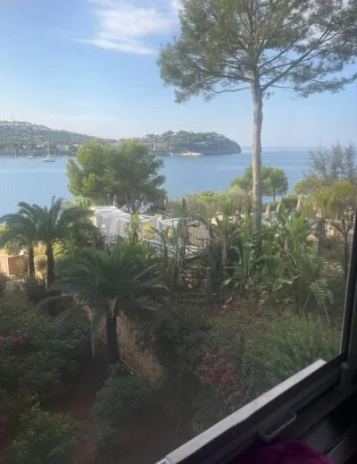 Office - Calvià (Costa de la Calma), Built Surface 25m², Terrace Size 15m², 50m to the Sea — photo 5