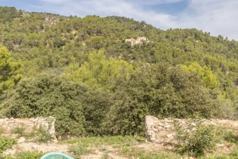 Country house — photo 12