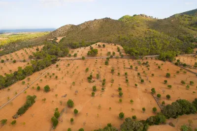 Building land for sale in Manacor — photo 4