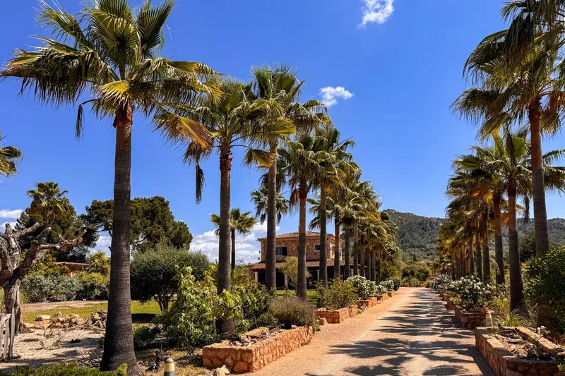 Mediterranean finca oasis with palm avenue, winter garden and pool — photo 5