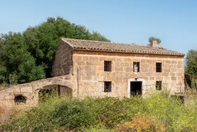 Finca with house for renovation near Manacor — photo 1
