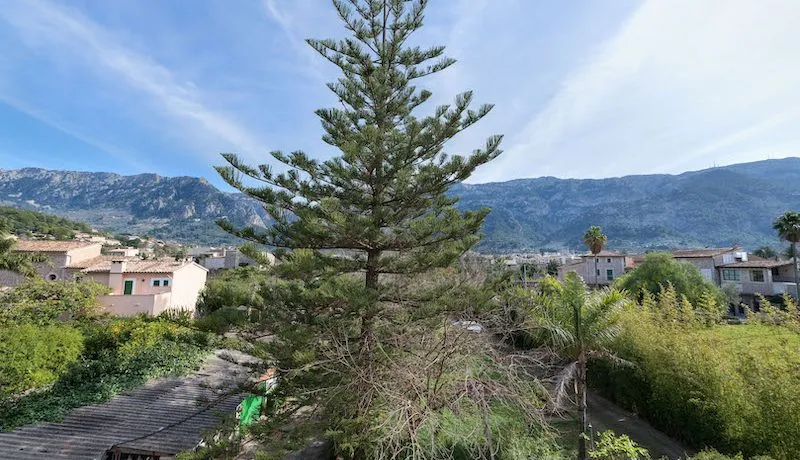 Rustic house in quiet and sunny area of Sóller with land — photo 12