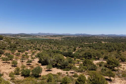 Cala Mandia, Unique plot with spectacular sea views and building project in Manacor — photo 5