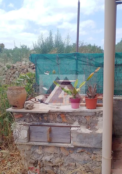 Rural land for sale in Vilafranca de Bonany — photo 7