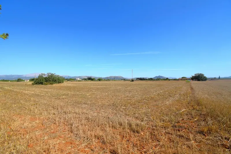 Set of two plots totaling 15,324 m² with possibility of building a house in Muro. Located approximately 5 km from the beach — photo 11