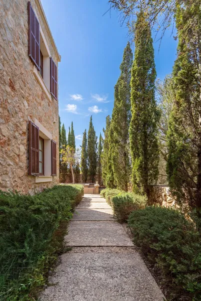 House - Sant Llorenç des Cardassar — photo 7
