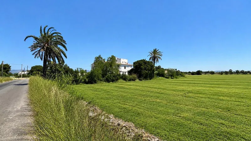 Mallorcan finca for renovation with flat land and safareig — photo 12