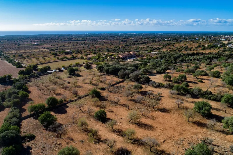 Buildable plot near S'Horta with approved finca project and sea views — photo 3