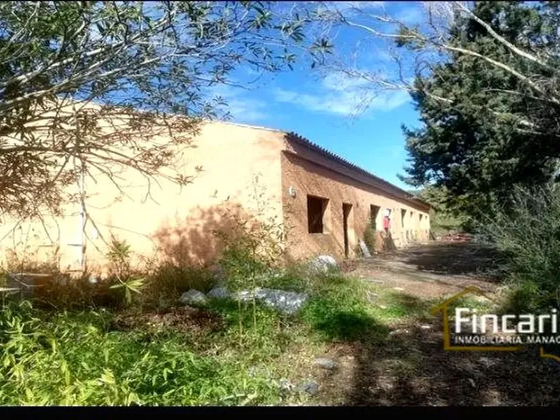 Country house in Sa Pobla, Mallorca — photo 5