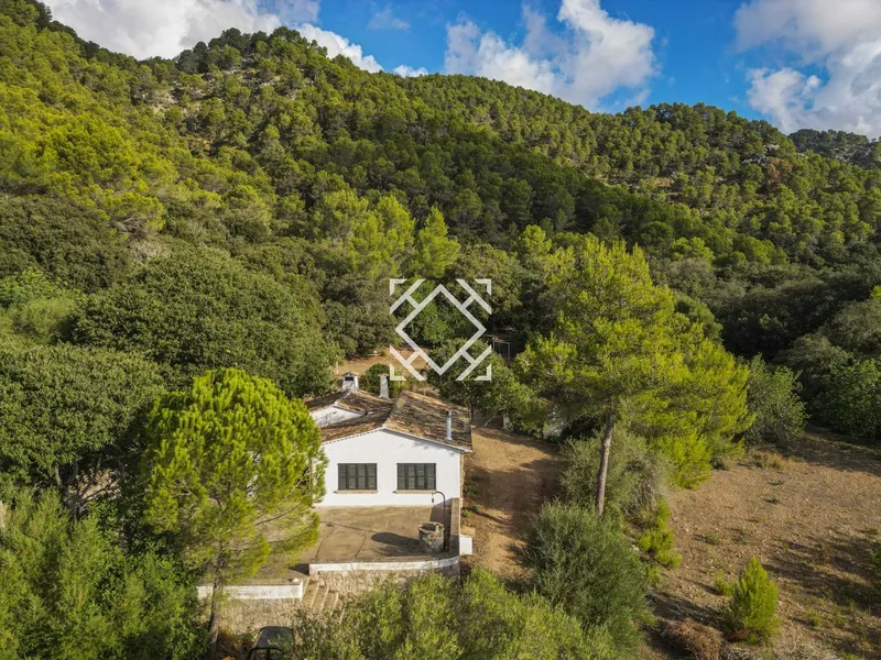 Historic country house for sale in Vall d'en March Pollensa, Mallorca — photo 1