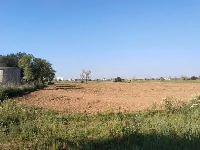 Rural Land - Campos, Plot Surface 2406m² — photo 7