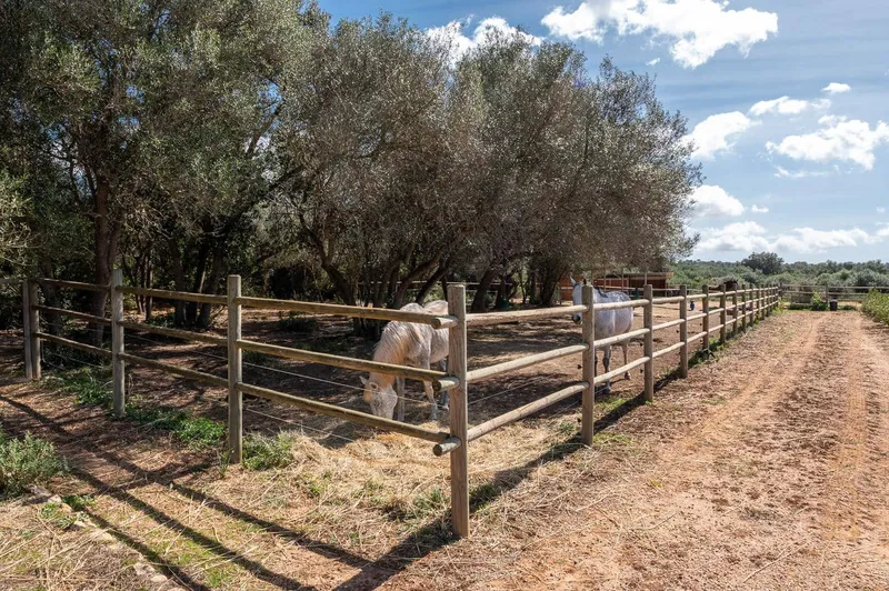 Finca/Country House for rent in Campos, Mallorca — photo 8