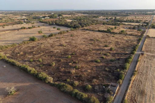 Campos, Idyllic Plot with Panoramic Views and New-Build Project between Campos and the Coast — photo 7