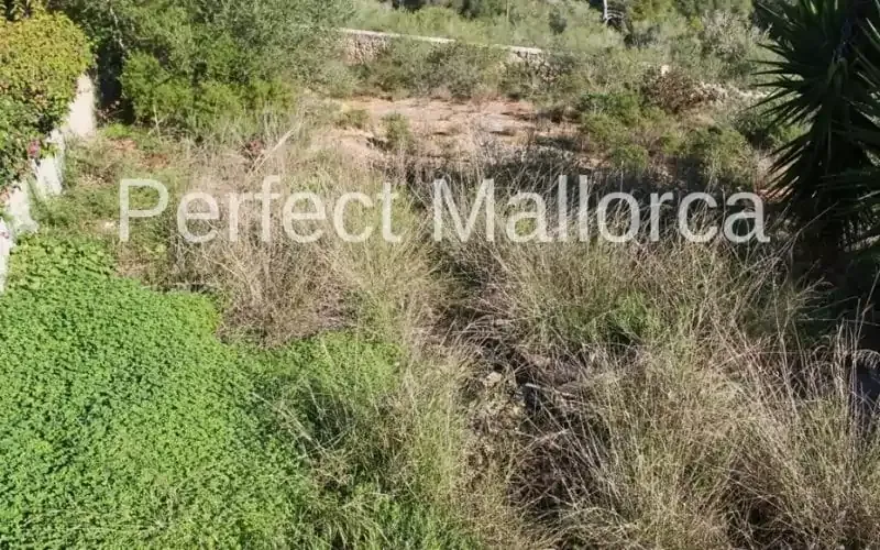 Building plot in dead end street — photo 3