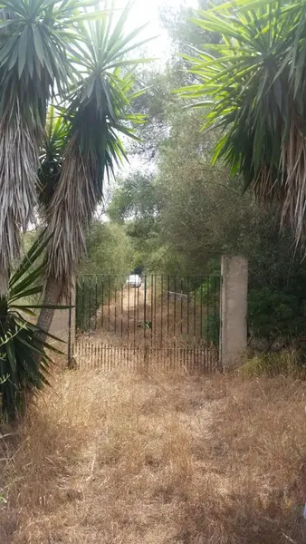 For sale: finca with legalized house, water and electricity — photo 4