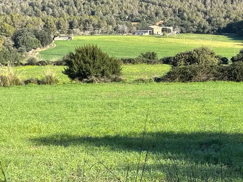 Discover this buildable rustic estate of approximately 59,500 m2, offering a construction of about 345 m2 with ample possibilities — photo 2