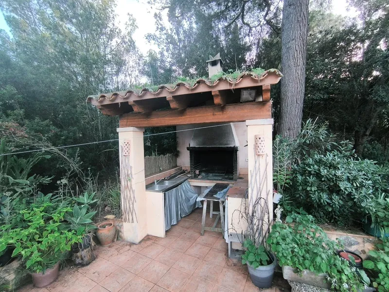 Exclusive Opportunity: Rustic Estate in the Heart of Mallorca with Pool, Well, and GESA Electricity — photo 8