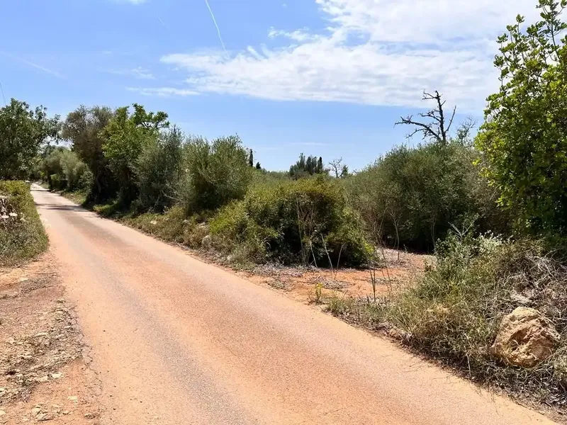 Llucmajor, 7,900 m² plot, very easy access, asphalted road, ideal for weekends. Plot with lots of garrigue. Ref. 3748 [IW] — photo 7
