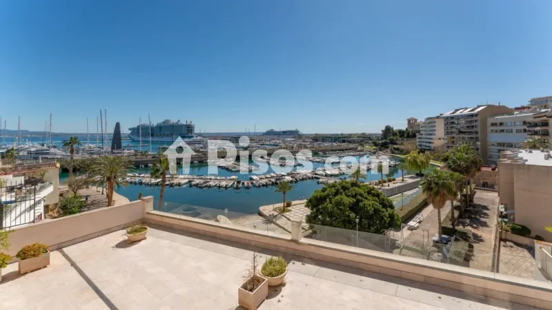 Apartment in El Terreno — photo 8